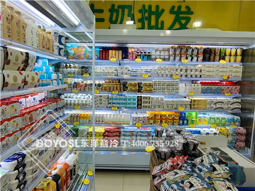 上海市市辖区闵行区龙茗路酸奶保鲜柜案例